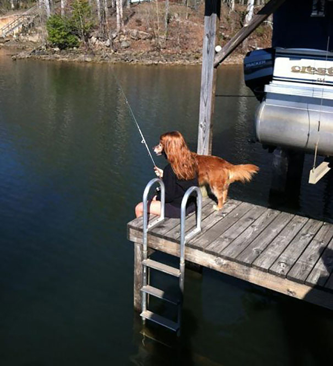 Angeln mit Hundeblick