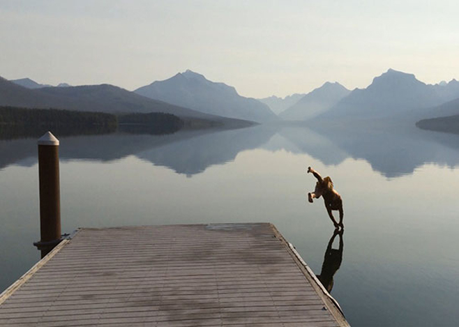 Wasser-Handstand