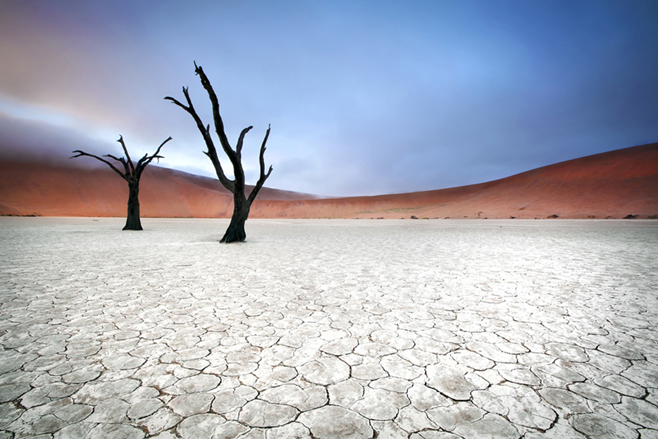 Sossusvlei, Namibia - neben den höchsten Dünen der Welt, gibt es auch andere bizarre Einblicke
