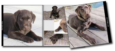 Fotobuch Tier Ivy's erstes Jahr 28x28 Hardcover