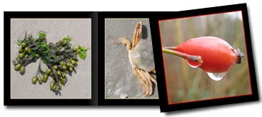 Fotobuch Hobby Natur Pur A5 quer Spiralbindung