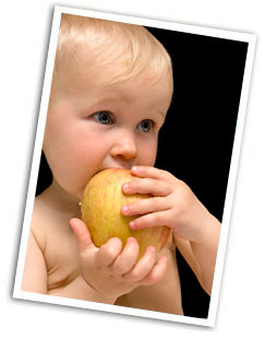 Baby Fotobuchvorlagen