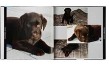 Fotobuch Hardcover XXL 28 x 28 cm