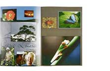 Fotobuch Klammerheftung A4 hoch 30 x 21 cm