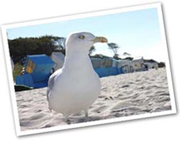 Strandmomente