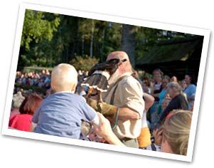 Fotobuch Zoo unvergesslich