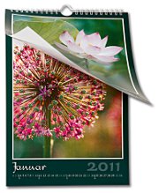 Jetzt Kalender A4 hoch gestalten