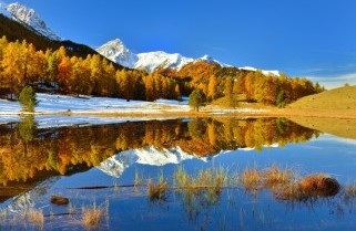 Get Zitate see wasser Free
